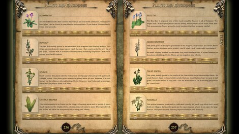 Two Worlds Strategy Guide Steam Gift GLOBAL - 5