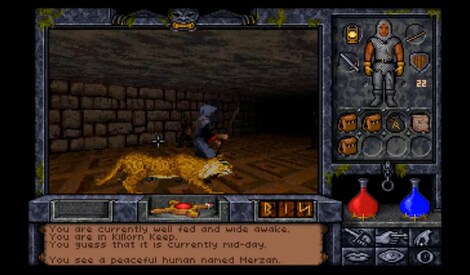 Ultima Underworld 2 EA App Account GLOBAL - 4
