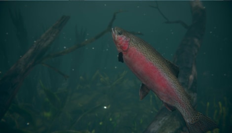 Ultimate Fishing Series Bundle (PC) - Steam Key - GLOBAL - 9