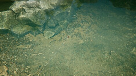 Ultimate Fishing Simulator 2 (PC) - Steam Account - GLOBAL - 16