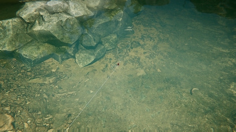 Ultimate Fishing Simulator 2 (PC) - Steam Key - EUROPE - 16