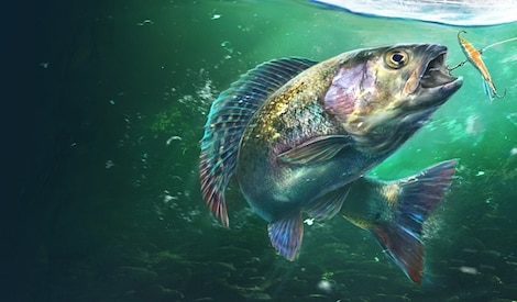 Ultimate Fishing Simulator 2 (PC) - Steam Key - GLOBAL - 0