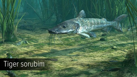 Ultimate Fishing Simulator - Amazon River (PC) - Steam Key - EUROPE - 7