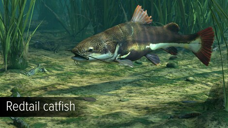 Ultimate Fishing Simulator - Amazon River (PC) - Steam Key - EUROPE - 5
