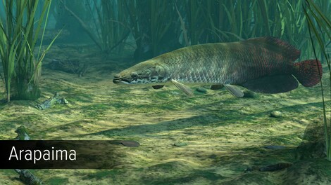 Ultimate Fishing Simulator - Amazon River (PC) - Steam Key - EUROPE - 6