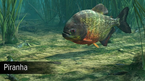Ultimate Fishing Simulator - Amazon River (PC) - Steam Key - GLOBAL - 8