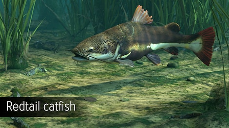 Ultimate Fishing Simulator - Amazon River (PC) - Steam Key - GLOBAL - 5