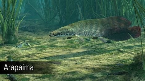 Ultimate Fishing Simulator - Amazon River (PC) - Steam Key - GLOBAL - 6