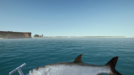 Ultimate Fishing Simulator: Florida (PC) - Steam Key - GLOBAL - 10