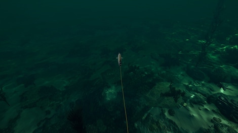Ultimate Fishing Simulator: Florida (PC) - Steam Key - GLOBAL - 3