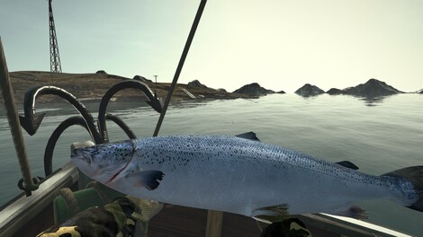Ultimate Fishing Simulator - Greenland (PC) - Steam Gift - EUROPE - 5