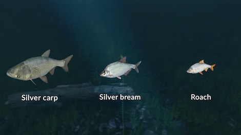 Ultimate Fishing Simulator - New Fish Species (PC) - Steam Gift - GLOBAL - 8