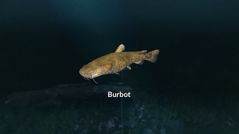 Ultimate Fishing Simulator - New Fish Species (PC) - Steam Gift - GLOBAL - 7