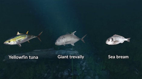 Ultimate Fishing Simulator - New Fish Species (PC) - Steam Gift - GLOBAL - 4