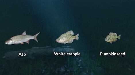 Ultimate Fishing Simulator - New Fish Species (PC) - Steam Key - EUROPE - 9