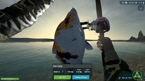 Ultimate Fishing Simulator - Taupo Lake (PC) - Steam Key - GLOBAL - 11