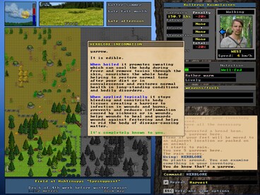 UnReal World Steam Gift GLOBAL - 14