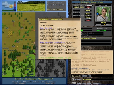 UnReal World Steam Gift UNITED KINGDOM - 14