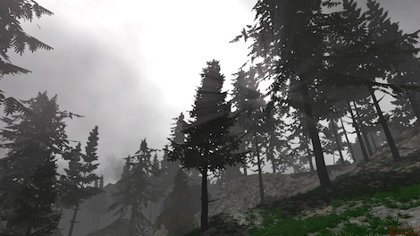 Unsettled (PC) - Steam Key - GLOBAL - 11