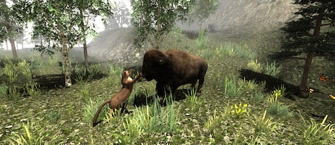 Untamed: Life Of A Cougar Steam Key GLOBAL - 3
