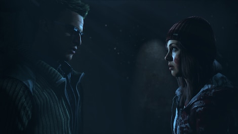 Until Dawn PSN PS4 Key NORTH AMERICA - 2