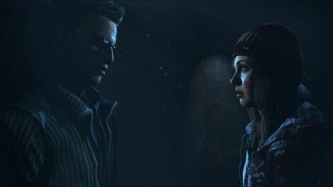 Until Dawn PSN PS4 Key NORTH AMERICA - 10