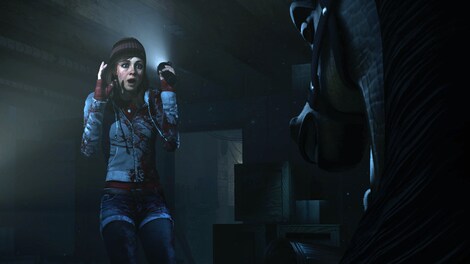 Until Dawn PSN PS4 Key NORTH AMERICA - 8