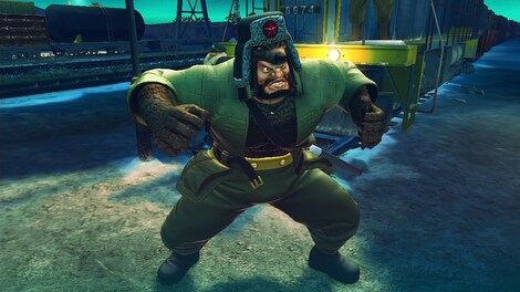 USFIV: Brawler Wild Pack Steam Gift GLOBAL - 5