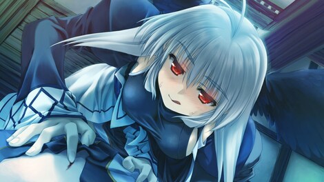 Utawarerumono: Prelude to the Fallen (PC) - Steam Gift - JAPAN - 9