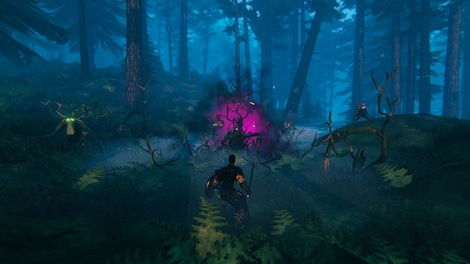 Valheim (PC) - Steam Account - GLOBAL - 13