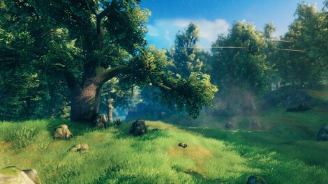 Valheim (PC) - Steam Key - LATAM - 16