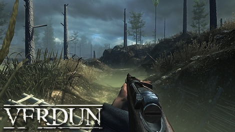 Verdun Steam Gift CIS - 9