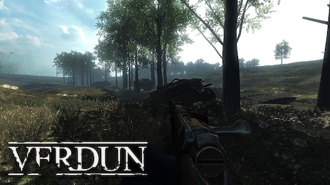 Verdun Steam Gift CIS - 0