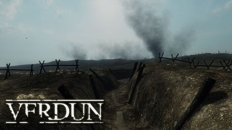 Verdun Steam Gift LATAM - 7