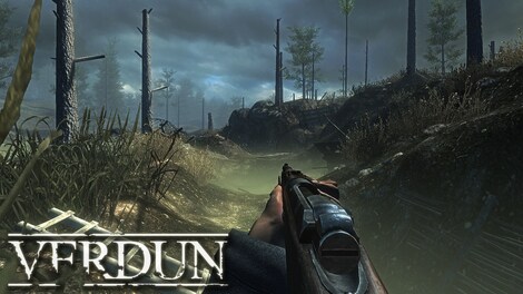 Verdun Steam Key LATAM - 9
