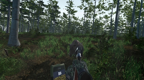 Virtual Hunter (PC) - Steam Account - GLOBAL - 10