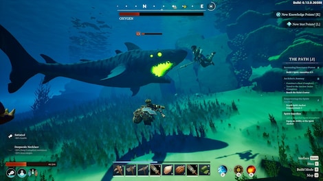 Voyagers of Nera (PC) - Steam Account - GLOBAL - 7