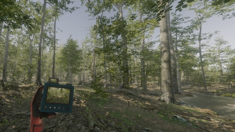 VR Walking Simulator (PC) - Steam Key - GLOBAL - 16