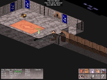 Vulture for NetHack Steam Key GLOBAL - 9