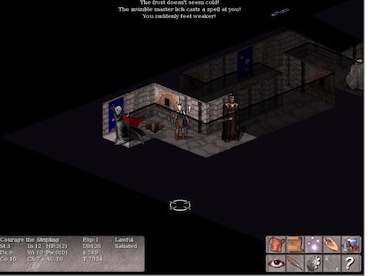 Vulture for NetHack Steam Key GLOBAL - 7