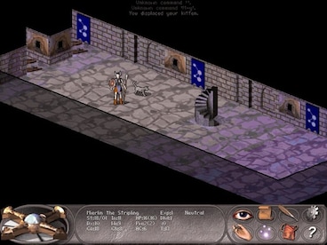 Vulture for NetHack Steam Key GLOBAL - 4