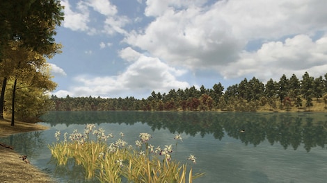 Walden, a game Steam Key GLOBAL - 9