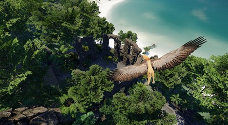 Wander Steam Key GLOBAL - 11