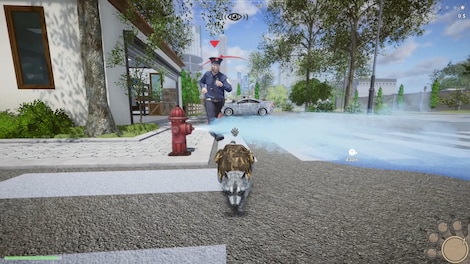 Wanted Raccoon (PC) - Steam Gift - GLOBAL - 17