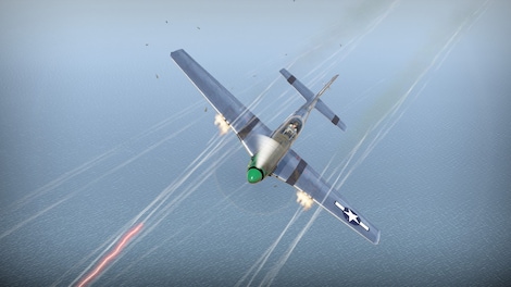War Thunder - Ray Wetmore`s P-51D-10 Pack Steam Gift GLOBAL - 6