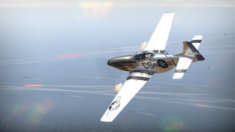 War Thunder - Ray Wetmore`s P-51D-10 Pack Steam Gift GLOBAL - 4