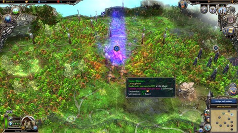 Warlock 2: Spectacular Spell Pack Steam Key GLOBAL - 5