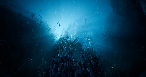 Water Planet Steam Key GLOBAL - 10