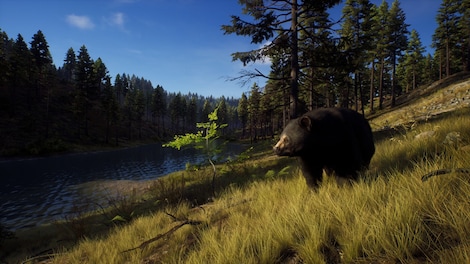 Way of the Hunter | Elite Edition (PC) - Steam Key - EUROPE - 6
