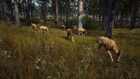 Way of the Hunter | Elite Edition (PC) - Steam Key - GLOBAL - 3